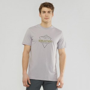 Salomon Blend Logo Tee M T-skjorte Gray | 45863-IYDF