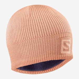 Salomon Logo Caps Rosa | 16082-VMSN