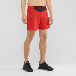 Salomon Sense Kort M Shorts Rød | 51879-QDTJ