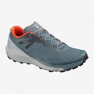 Salomon Sense Ride 3 Trail Løpesko Gray | 38641-SHGI