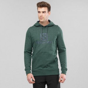 Salomon Shift Hoodie M Hettegenser Grønn | 53064-PCAM