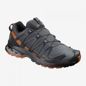 Salomon Xa Pro 3D V8 Gore-Tex Trail Løpesko Gray | 01437-LNIQ