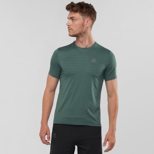 Salomon Xa Tee M Topper Grønn | 43520-ESAT