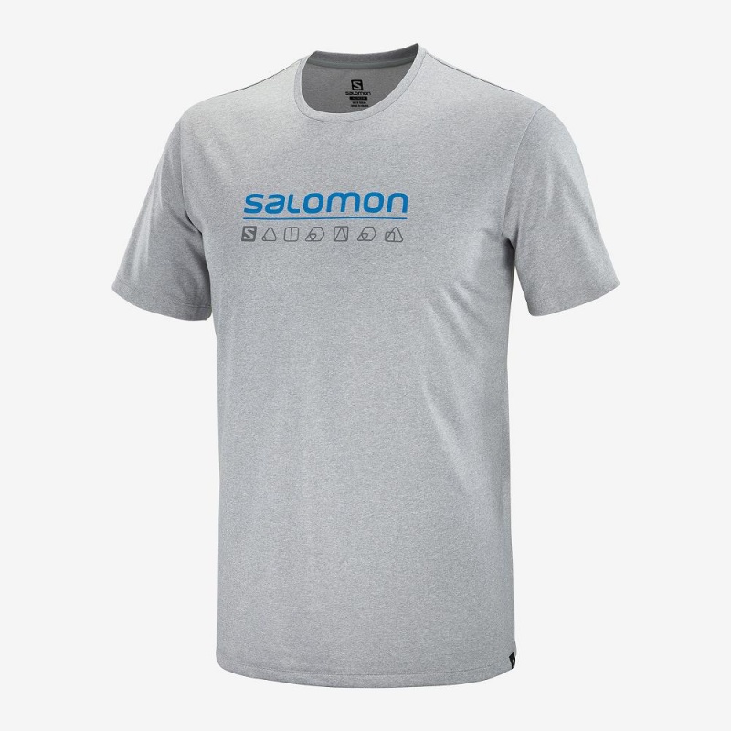 Salomon Agile Grafiske Tee M Topper Gray | 47819-CIMW