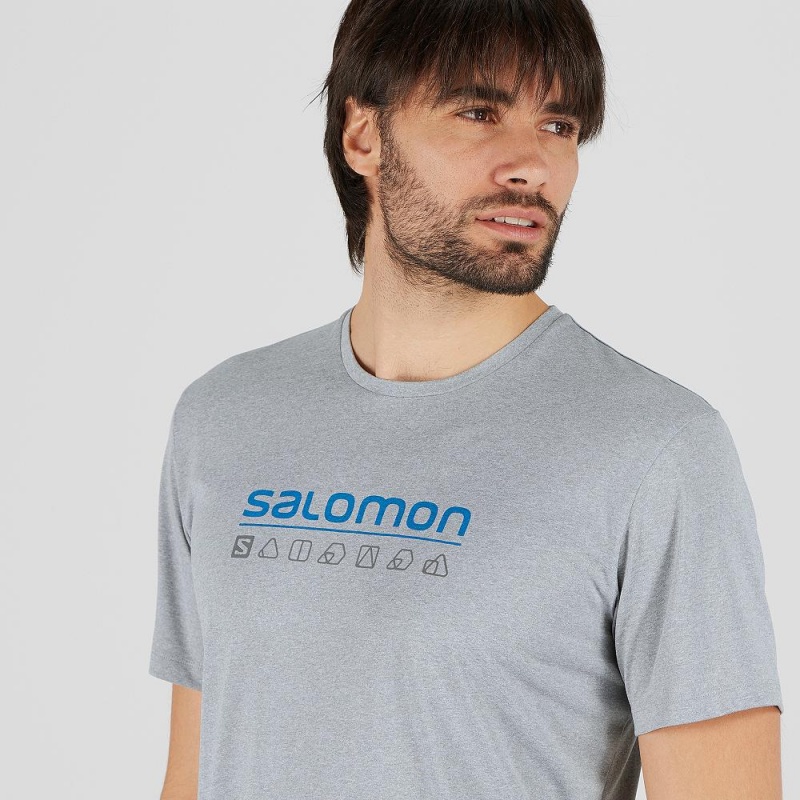 Salomon Agile Grafiske Tee M Topper Gray | 47819-CIMW