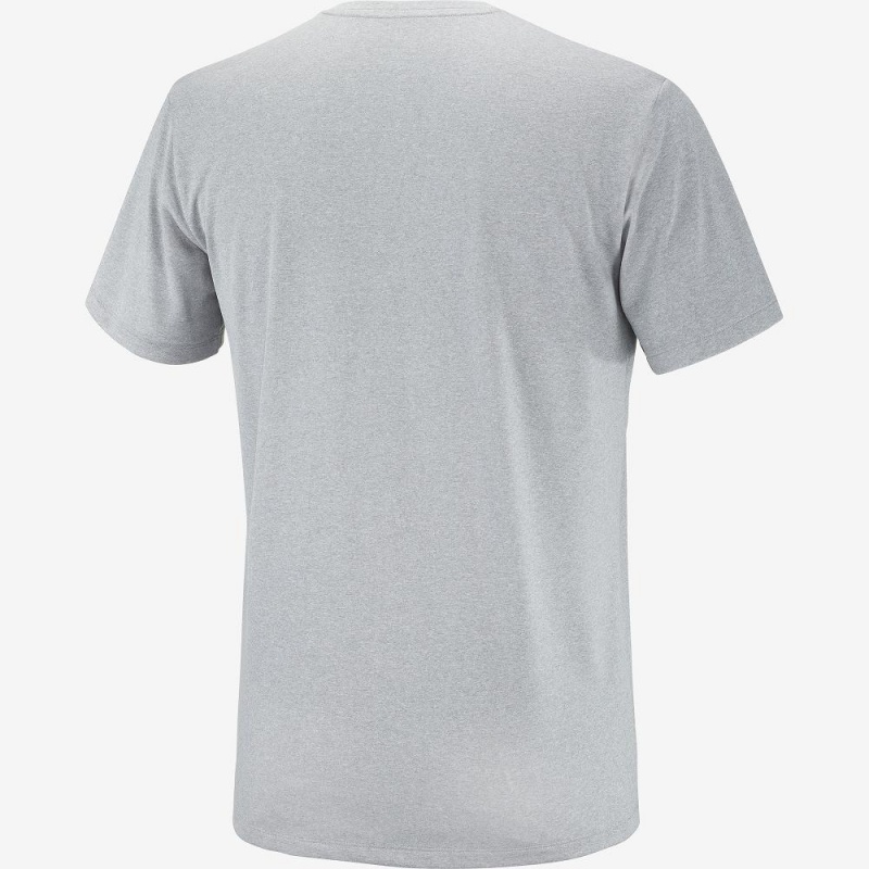 Salomon Agile Grafiske Tee M Topper Gray | 47819-CIMW