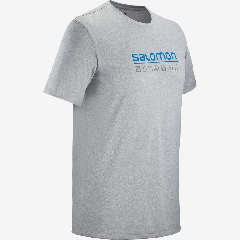 Salomon Agile Grafiske Tee M Topper Gray | 47819-CIMW