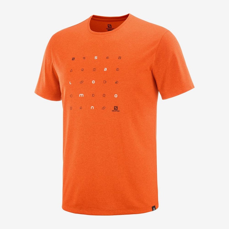 Salomon Agile Grafiske Tee M Topper Oransje | 14852-JSIN