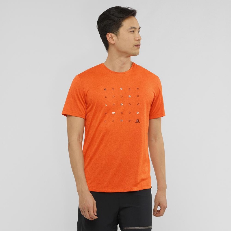 Salomon Agile Grafiske Tee M Topper Oransje | 14852-JSIN