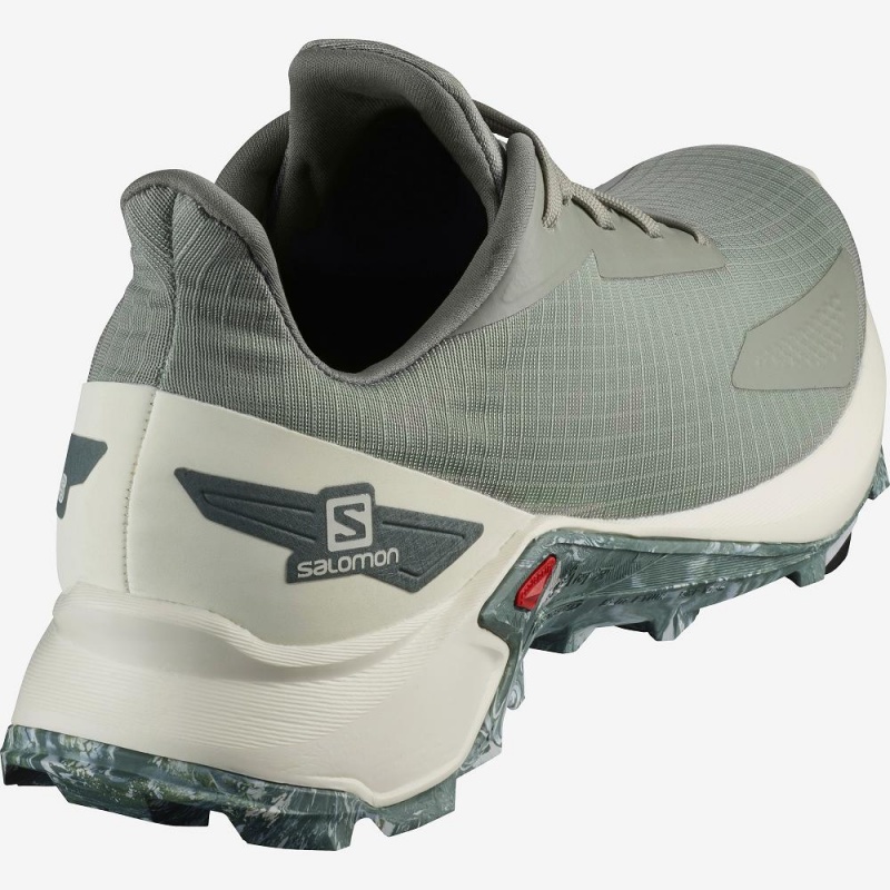 Salomon Alphacross Blast Fritidssko Gray | 13026-AWCD