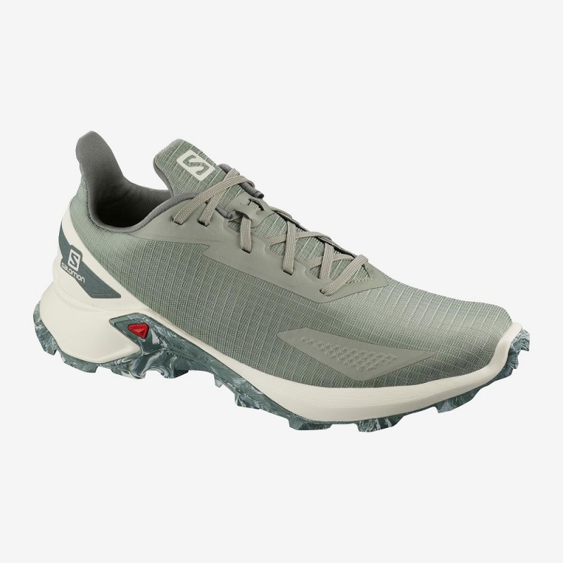 Salomon Alphacross Blast Fritidssko Gray | 13026-AWCD