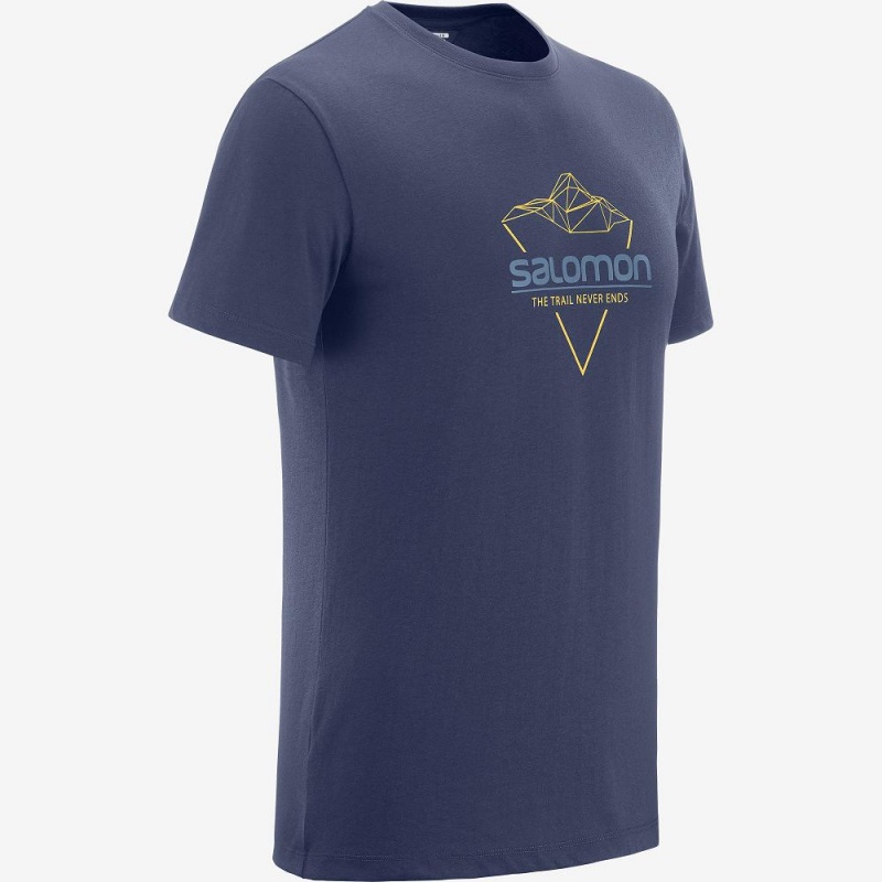 Salomon Blend Logo Tee M T-skjorte Marineblå | 76312-PDLC