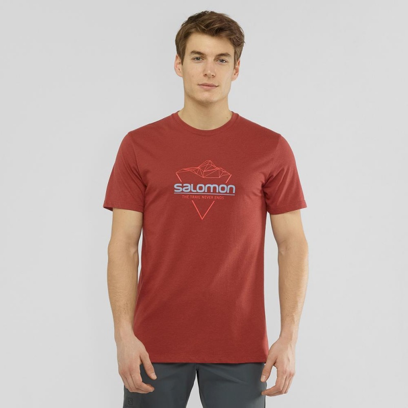 Salomon Blend Logo Tee M T-skjorte Rød | 98370-NCUF