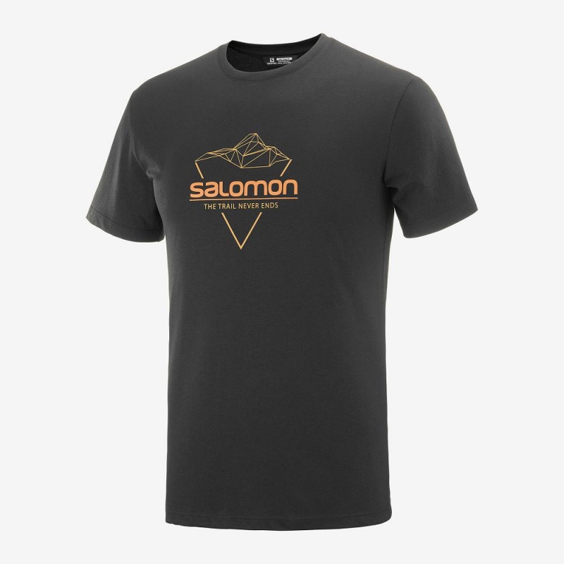 Salomon Blend Logo Tee M T-skjorte Svarte | 84126-RKIQ