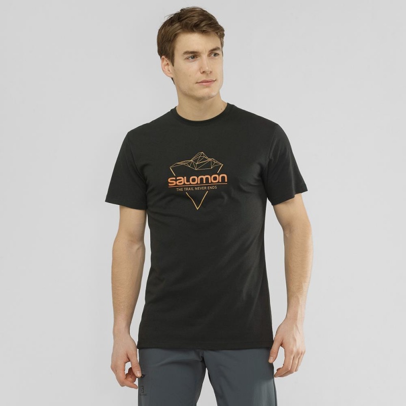 Salomon Blend Logo Tee M T-skjorte Svarte | 84126-RKIQ