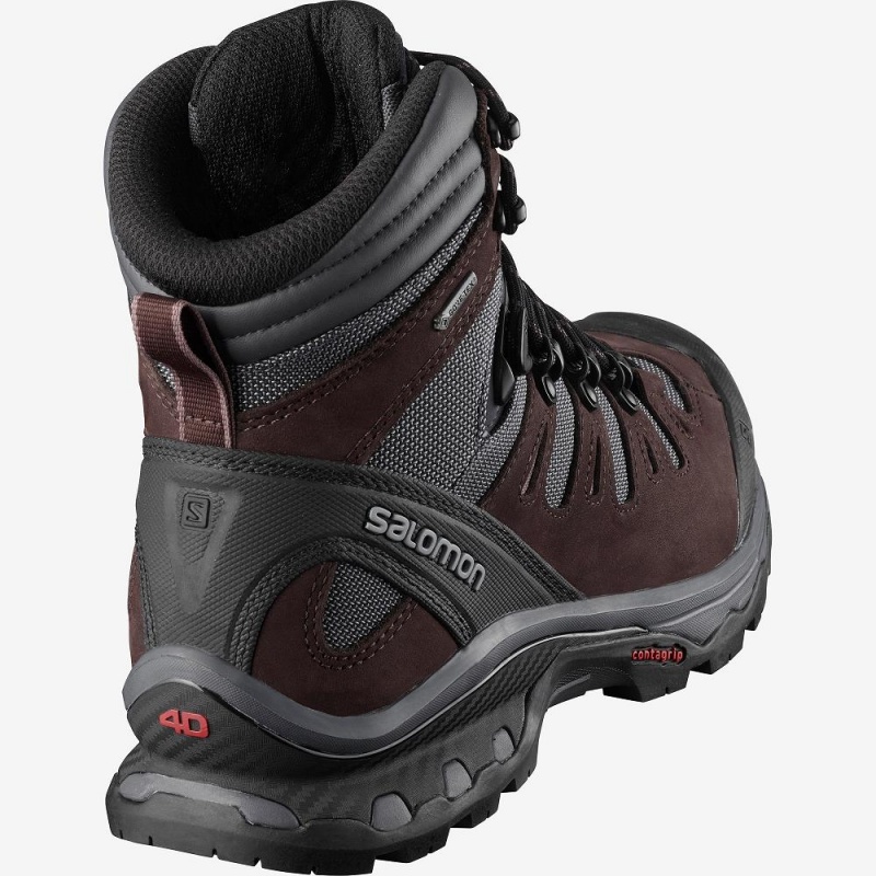 Salomon Quest 4D 3 Gtx W Trekking Gray | 84723-IGTX