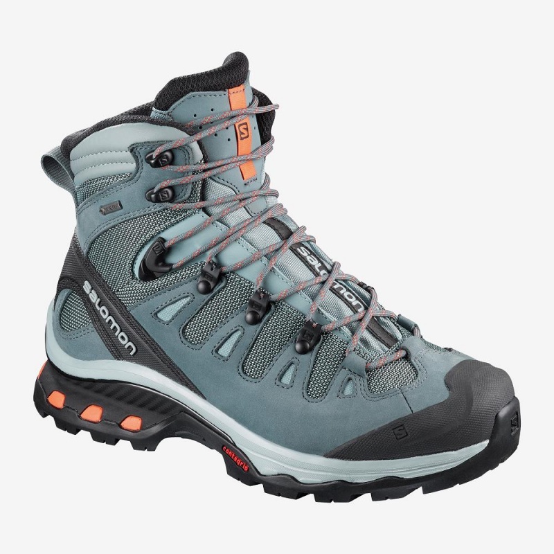 Salomon Quest 4D 3 Gtx W Trekking Grønn | 23859-EPJL