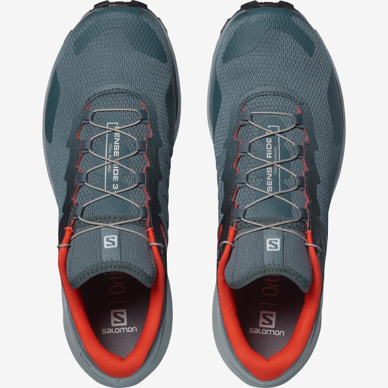 Salomon Sense Ride 3 Trail Løpesko Gray | 38641-SHGI