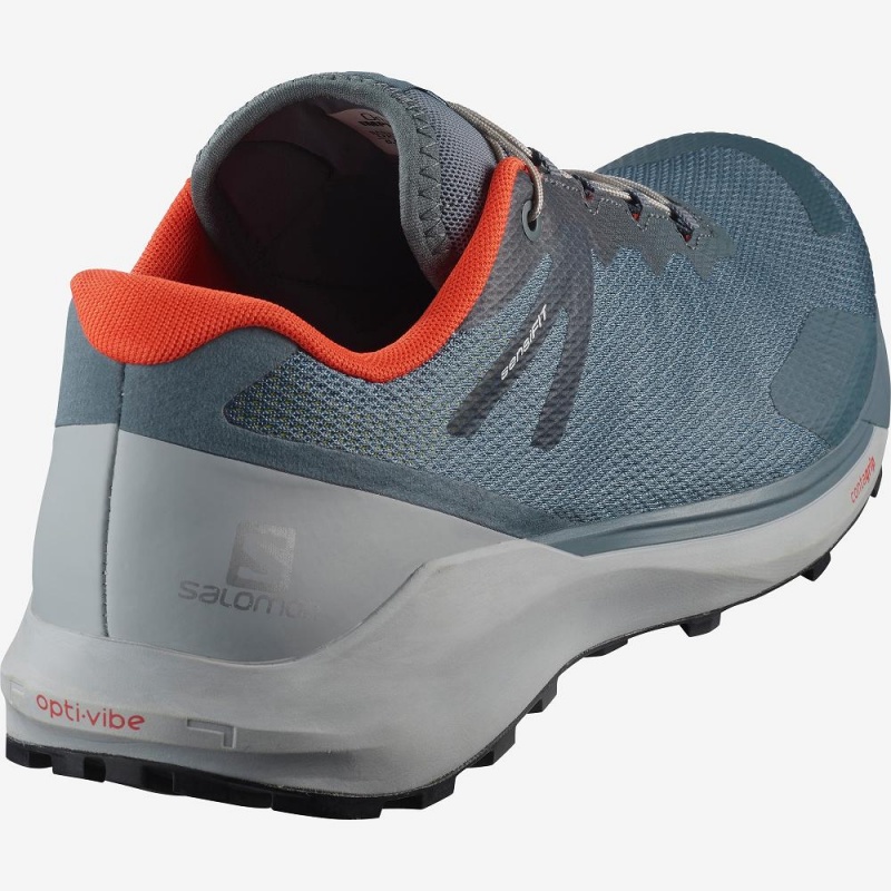 Salomon Sense Ride 3 Trail Løpesko Gray | 38641-SHGI