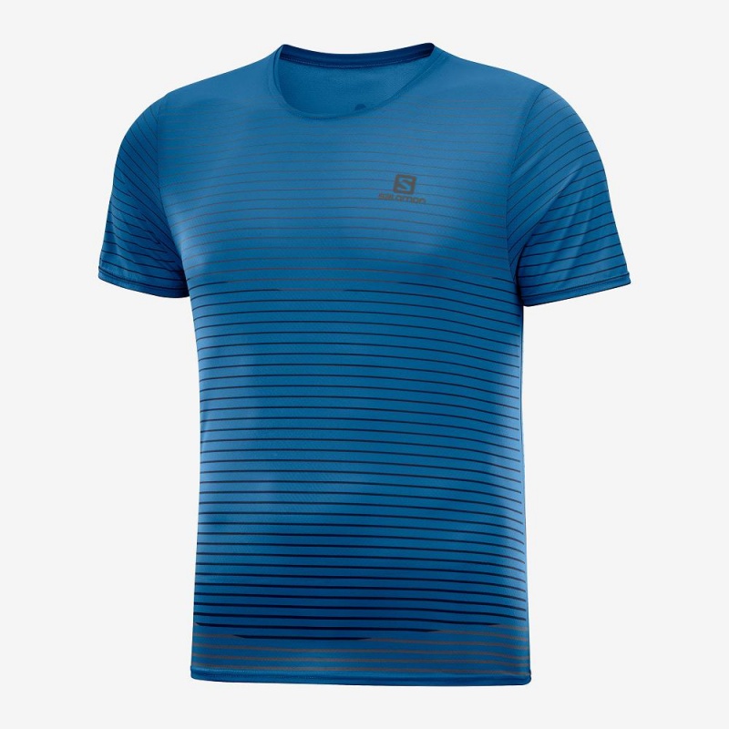 Salomon Sense Tee M Topper Blå | 12875-LXFG