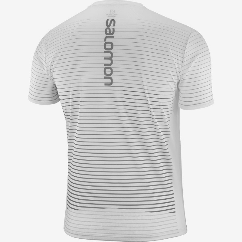 Salomon Sense Tee M Topper Hvite | 85723-LIDF