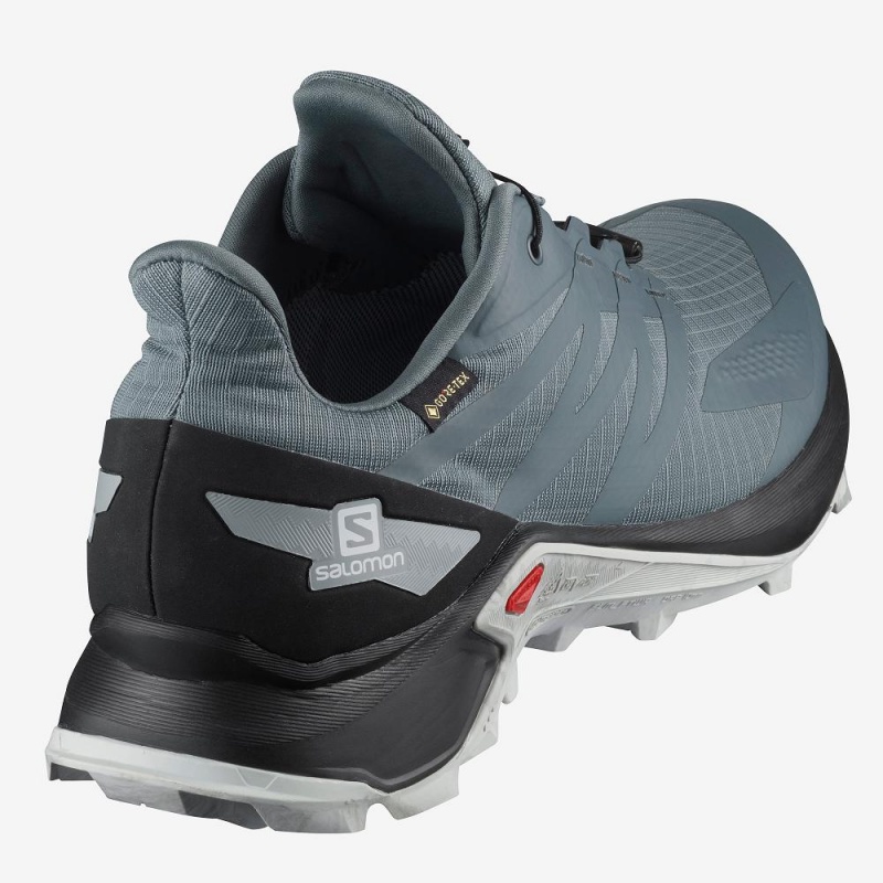 Salomon Supercross Blast Gtx Trail Løpesko Gray | 38491-HECM