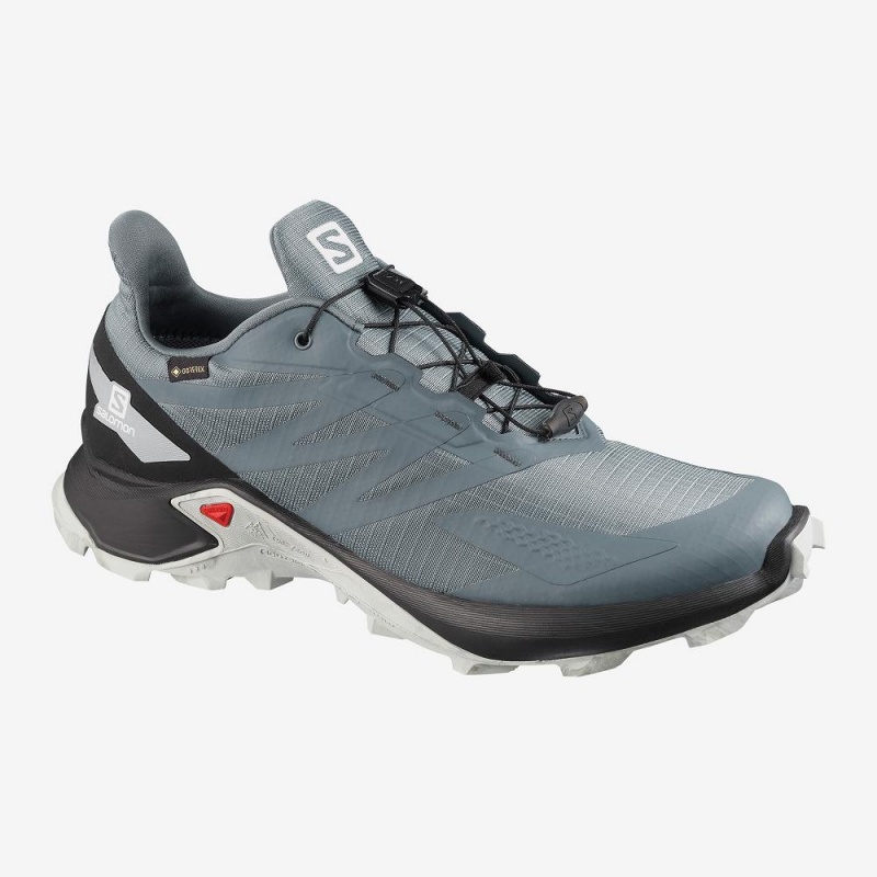 Salomon Supercross Blast Gtx Trail Løpesko Gray | 38491-HECM