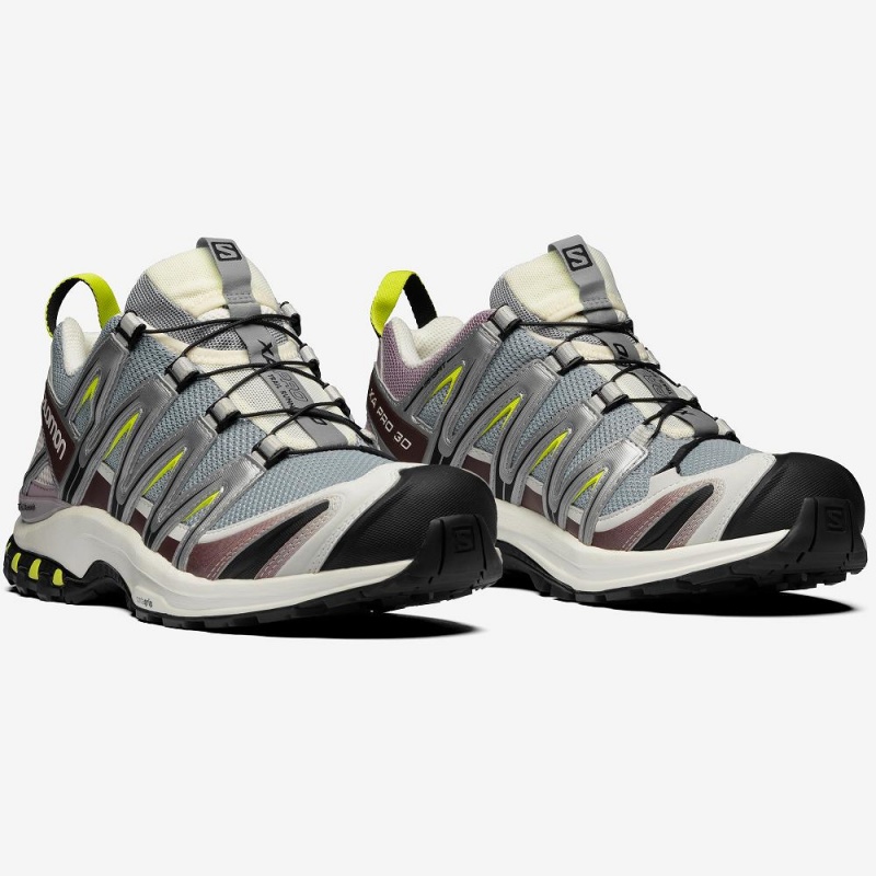 Salomon Xa Pro 3D Sneakers Gray | 01984-JMUD